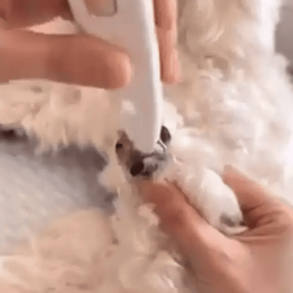 Pfotentrimmer für Hunde & Katzen